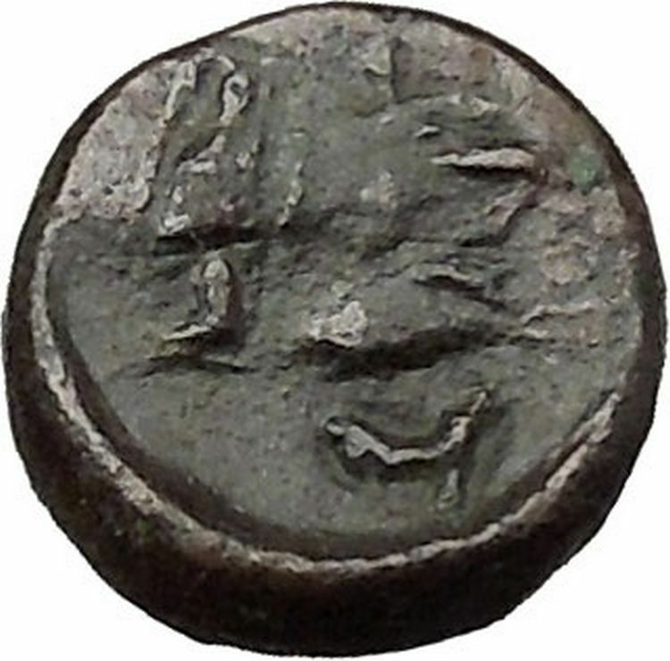 PANTIKAPAION in TAURIC CHERSONESOS 250BC Bull Plow Ancient Greek Coin i38355