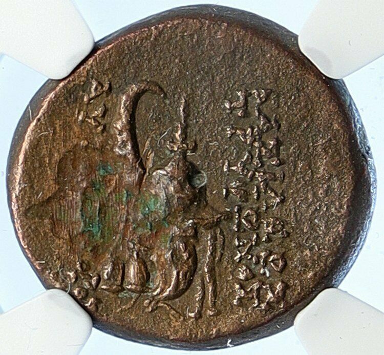 TRYPHON Rare Ancient Seleukid Authentic Ancient Greek Coin w HELMET NGC i106715