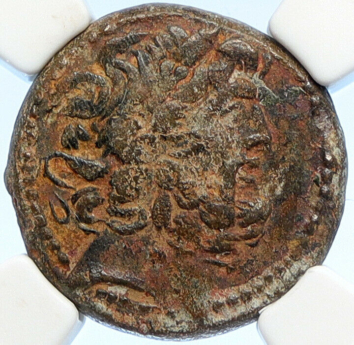 ALEXANDER II ZABINAS Seleukid Ancient Genuine Greek Coin CORNUCOPIA NGC i106720