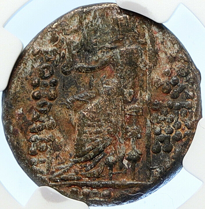 ALEXANDER II ZABINAS Seleukid Ancient Genuine Greek Coin CORNUCOPIA NGC i106720