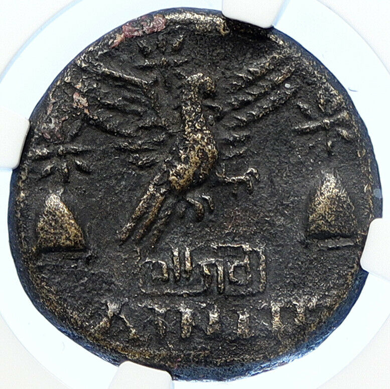 APAMEIA PHRYGIA 88BC Athena Gemini Caps Eagle OLD Ancient Greek Coin NGC i106726