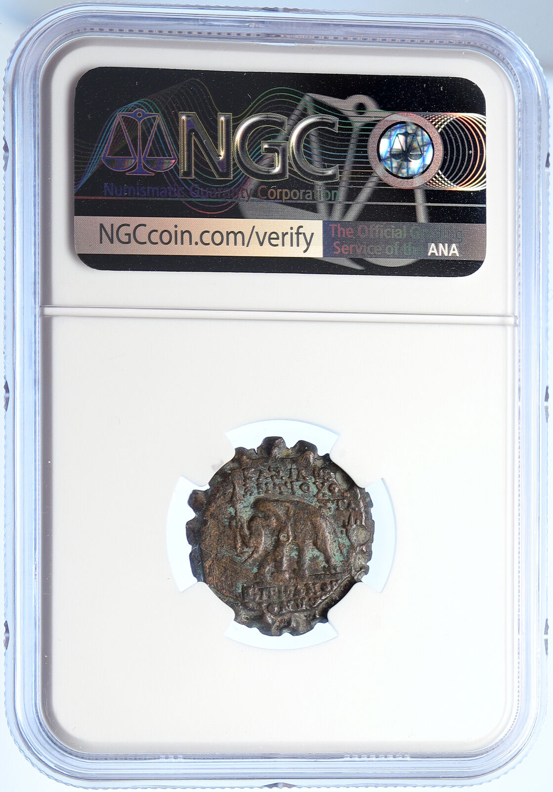 ANTIOCHOS VI Dionysos 144BC Seleukid Ancient Old Greek Coin ELEPHANT NGC i106730