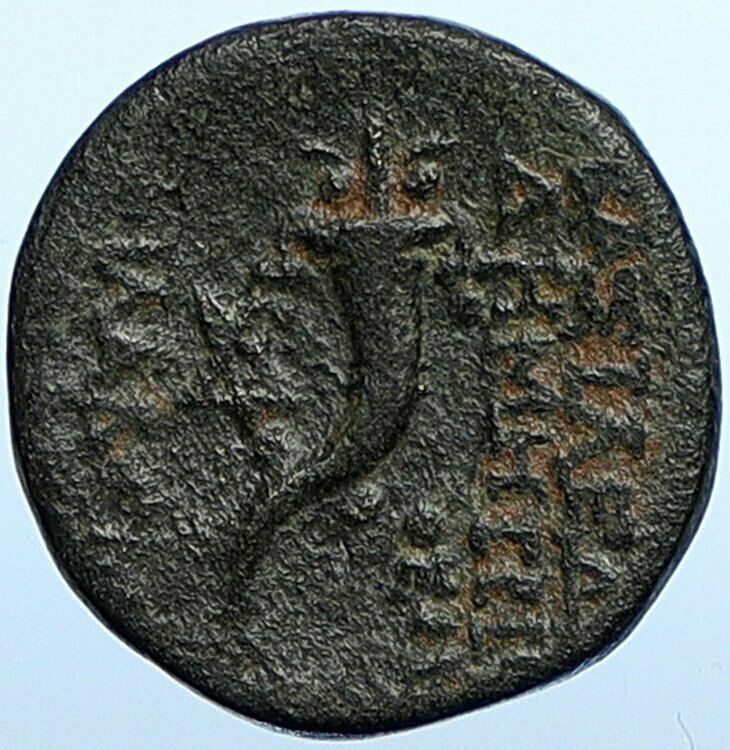 DEMETRIOS II Nikator Antique Ancient SELEUKID Old Greek Coin CORNUCOPIA i108383