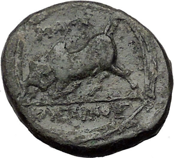 MAGNESIA ad MAENDRUM 350BC Warrior Horseman Bull Ancient Greek Coin i31773