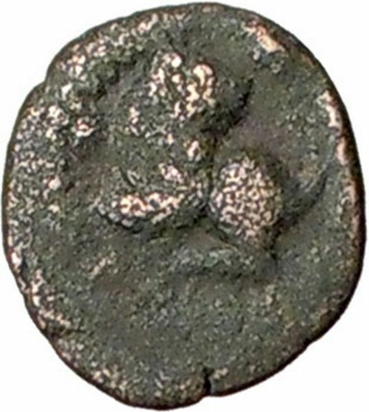 LEO I 457AD Rare Authentic Ancient Genuine Roman Coin Lion seated i27832