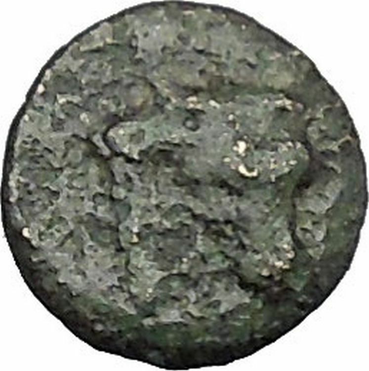 Larissa Phriconis in Aeolis 400BC Original Ancient Greek Coin Female Bull i49652