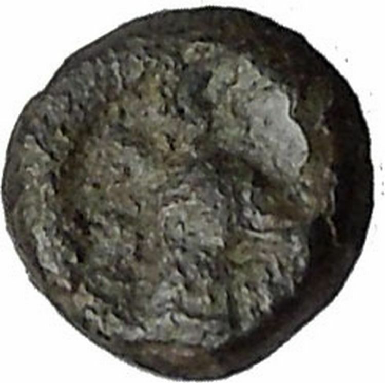 EPESUS Ephesos IONIA 405BC Bee Stag's Head Authentic Ancient Greek Coin i49775