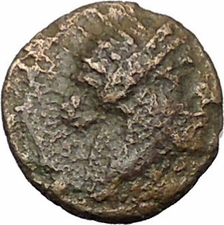 RHODES Island Off CARIA 394BC Nymph Rhodos ROSE Ancient Greek Coin i49615