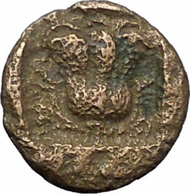 RHODES Island Off CARIA 394BC Nymph Rhodos ROSE Ancient Greek Coin i49615