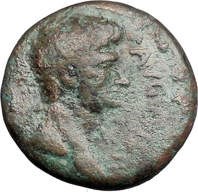 Divus AUGUSTUS with OXEN under TRAJAN 98AD Berytus Phoenicia Roman Coin i49140