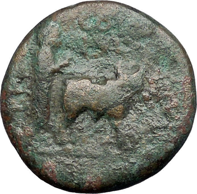 Divus AUGUSTUS with OXEN under TRAJAN 98AD Berytus Phoenicia Roman Coin i49140