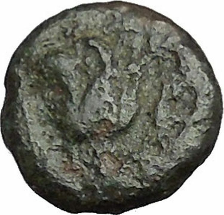 RHODES Island Off CARIA 394BC Nymph Rhodos ROSE Ancient Greek Coin i50215