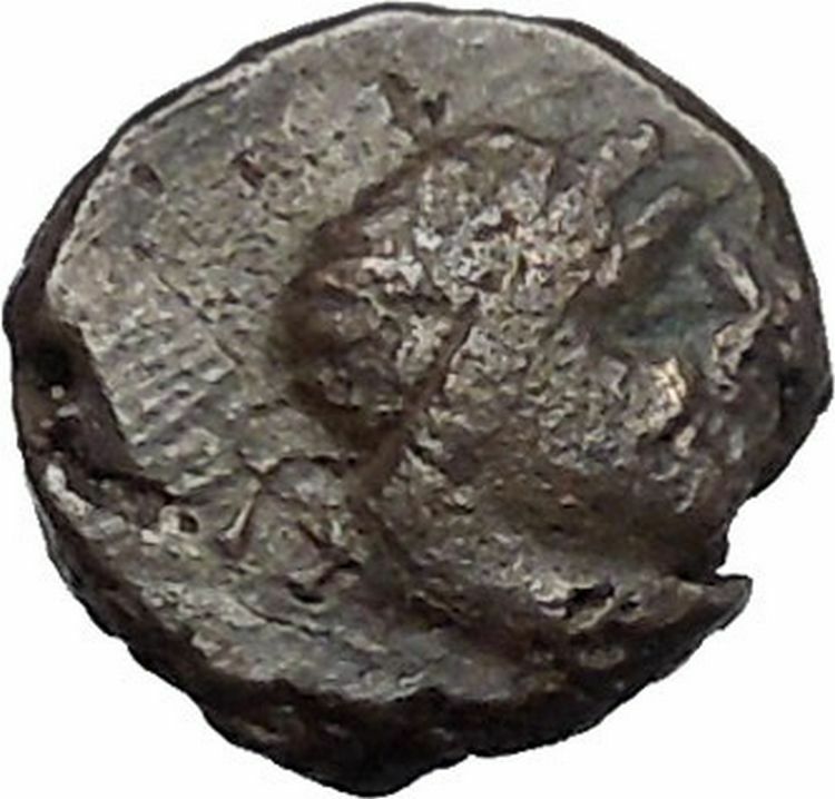 Pantikapaion in Tauric Chersonesos 3rdCentBC RARE Ancient Greek Coin BOW i50243