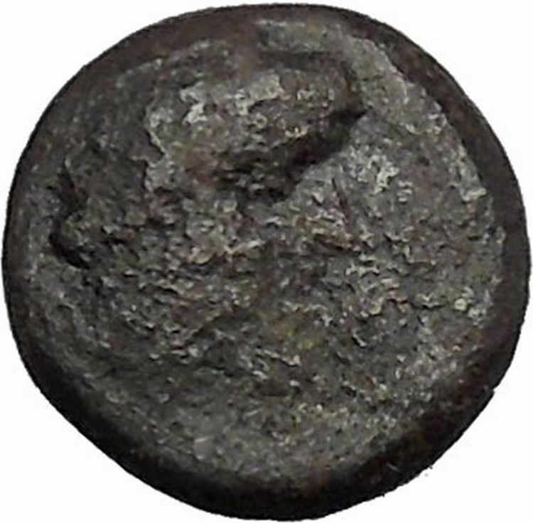 Pantikapaion in Tauric Chersonesos 3rdCentBC RARE Ancient Greek Coin BOW i50244