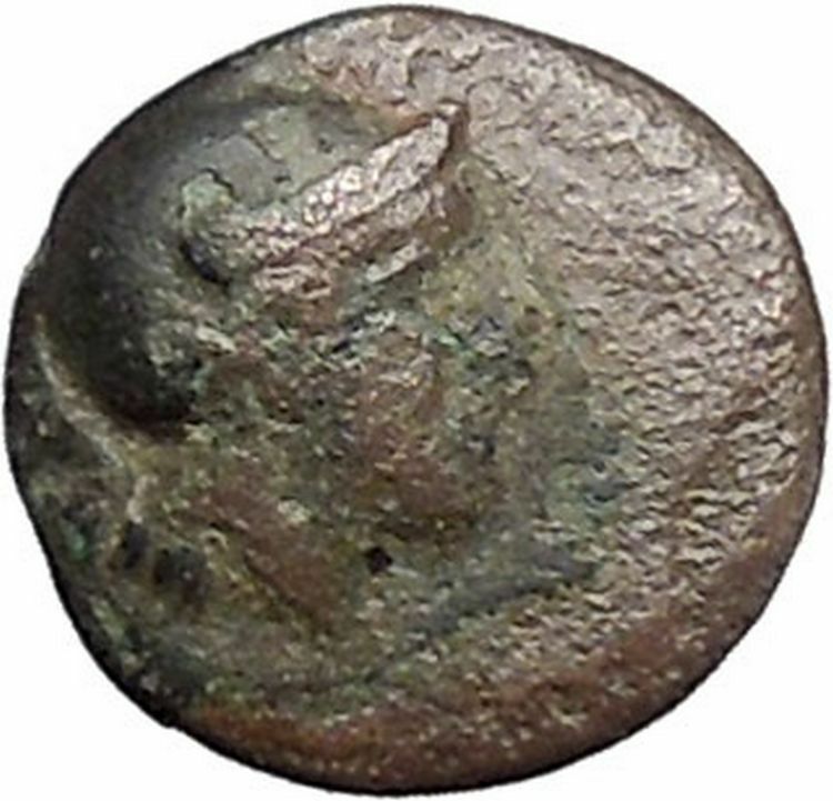 CHERSONESOS in THRACE 386BC Athena Barley Grain Ancient Greek Coin RARE i47485