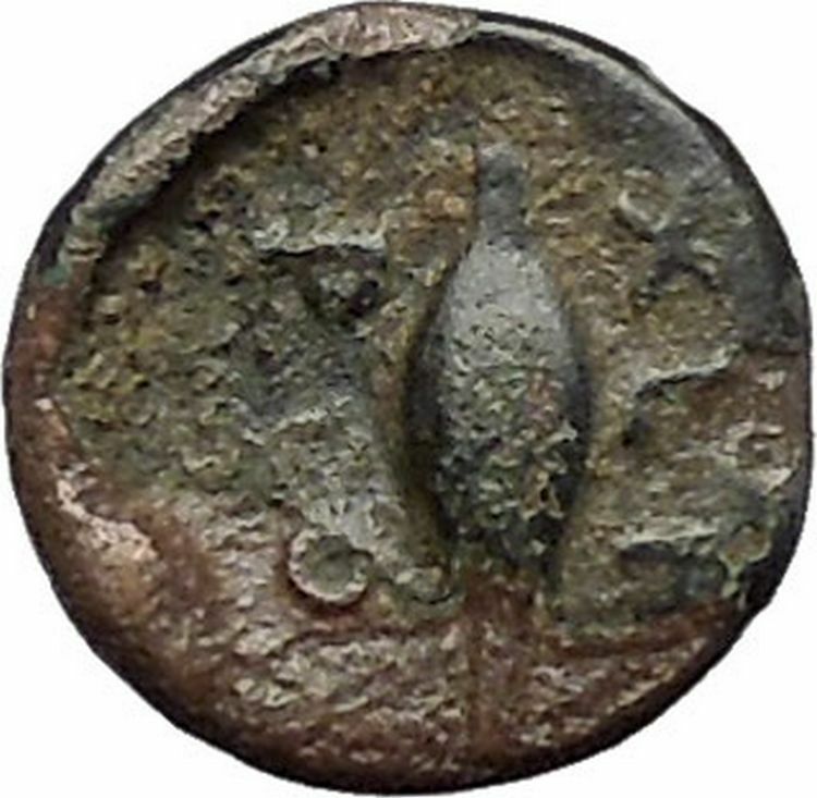 CHERSONESOS in THRACE 386BC Athena Barley Grain Ancient Greek Coin RARE i47485