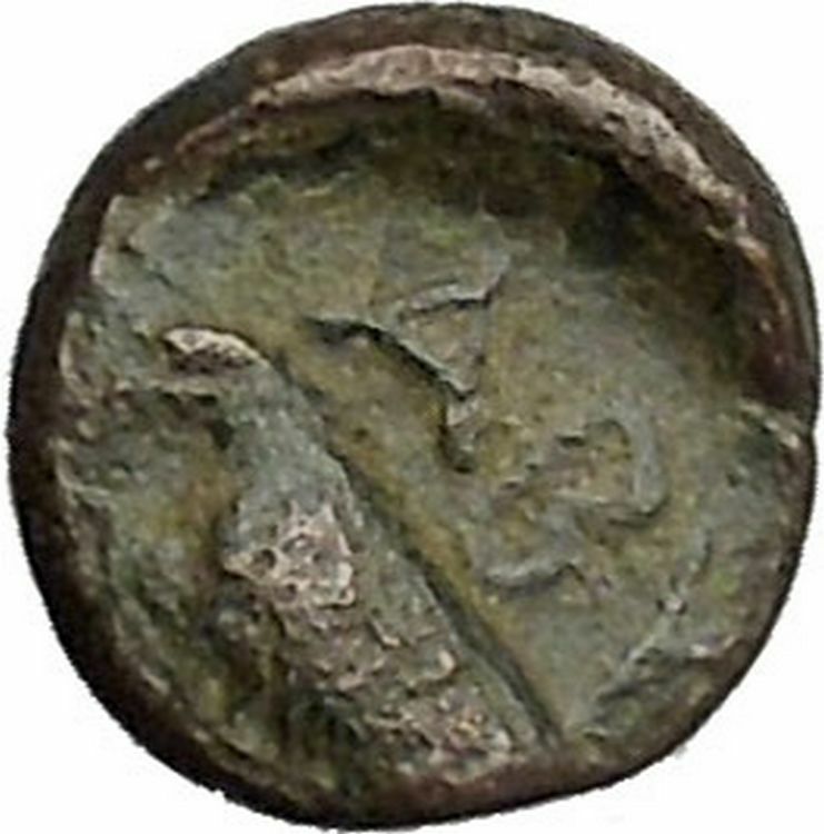 ABYDOS in TROAS 320BC Apollo Eagle Authentic Original Ancient Greek Coin i47868