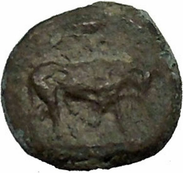 GELA in SICILY 420BC Bull River-god Gelas Rare RARE R2 Ancient Greek Coin i52416