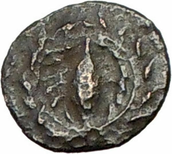 Elaia in Asia Minor 4th-3rdCentBC Ancient Greek Coin Athena Corn-grain i28113