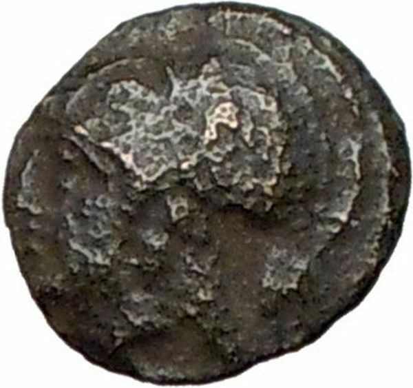 Elaia in Asia Minor 4th-3rdCentBC Ancient Greek Coin Athena Corn-grain i28113