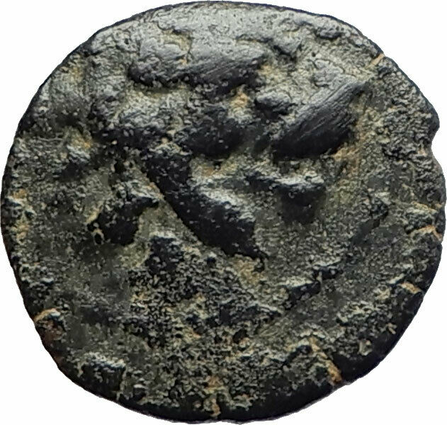 ANTIOCHOS VII Sidetes 138BC Seleukid Ancient Greek Coin NEMEAN LION CLUB i75593