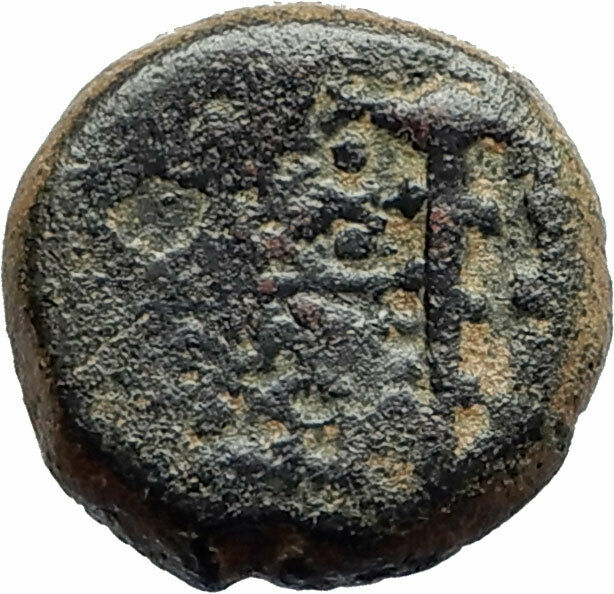 ANTIOCHOS VII Sidetes 138BC Seleukid Ancient Greek Coin NEMEAN LION CLUB i75593