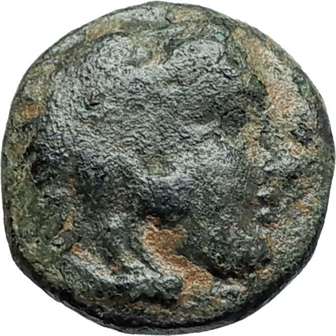 AMYNTAS III of Macedonia 393BC Hercules Eagle Serpent Ancient Greek Coin i75524