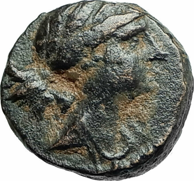 SELEUKOS III Keraunos 225BC Seleukid Ancient Greek Coin ARTEMIS & APOLLO i75732