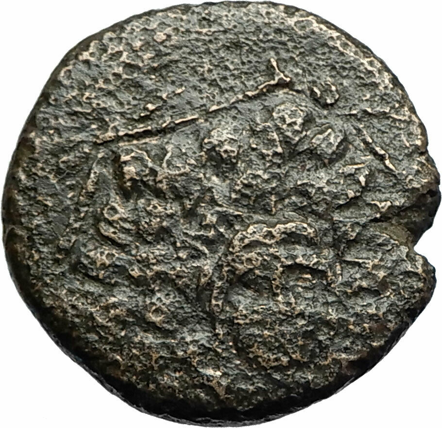 Sinope in Paphlagonia - Mithradates VI the Great - Gorgon Nike Greek Coin i71682