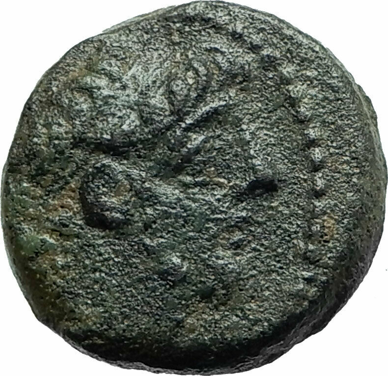 ANTIOCHOS IX Kyzikenos Authentic Ancient Seleukid Greek Coin Thunderbolt i75705