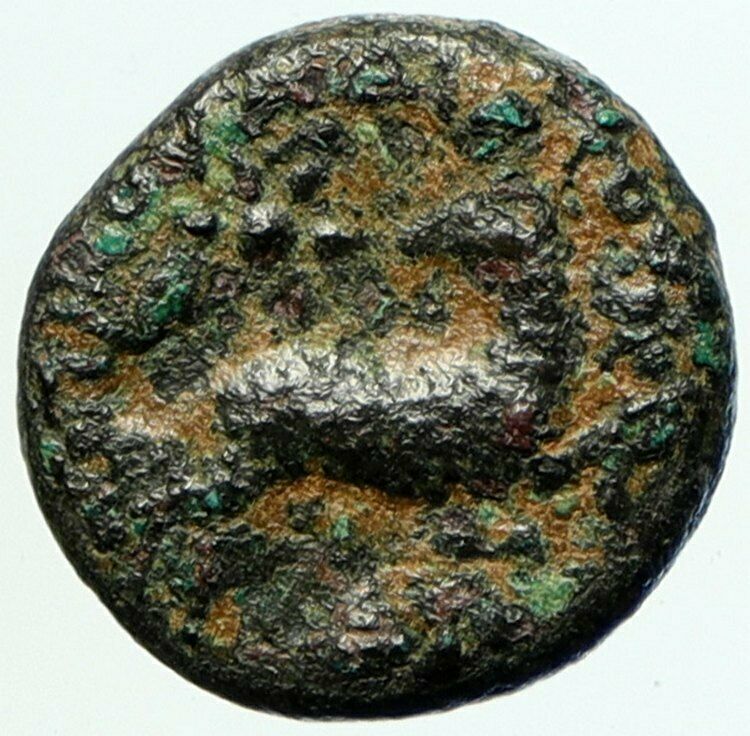 ANTIOCH on the ORONTES Seleukis Pieria OLD Ancient 128AD Greek Coin RAM i104843