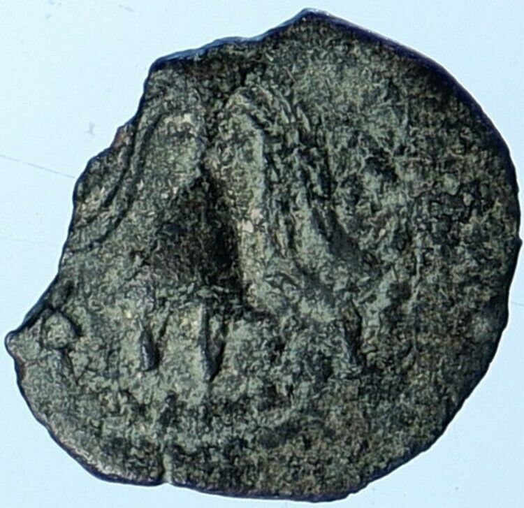 HEROD ARCHELAUS Biblical JERUSALEM Jewish OLD Ancient Greek Coin GRAPES i108457