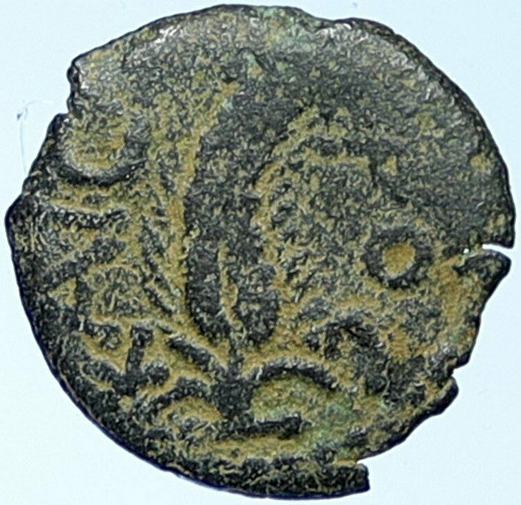 MARCUS AMBIBULUS Augustus Jerusalem Old BIBLICAL Roman Coin Hendin 1331 i109170