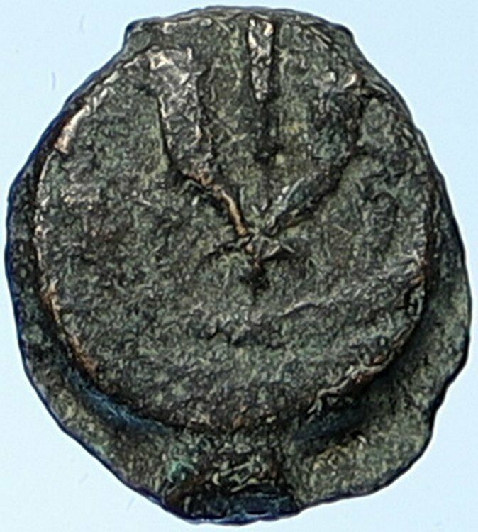 MATTATAYAH Mattathias Antiogonus BIBLE Jerusalem Coin Matityahu Hen 1164 i109423