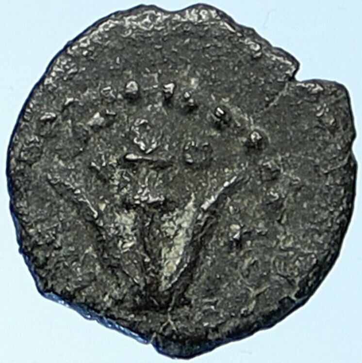 HEROD ARCHELAUS Jewish King Biblical Jerusalem Coin ANCHOR Hendin 1193 i109471