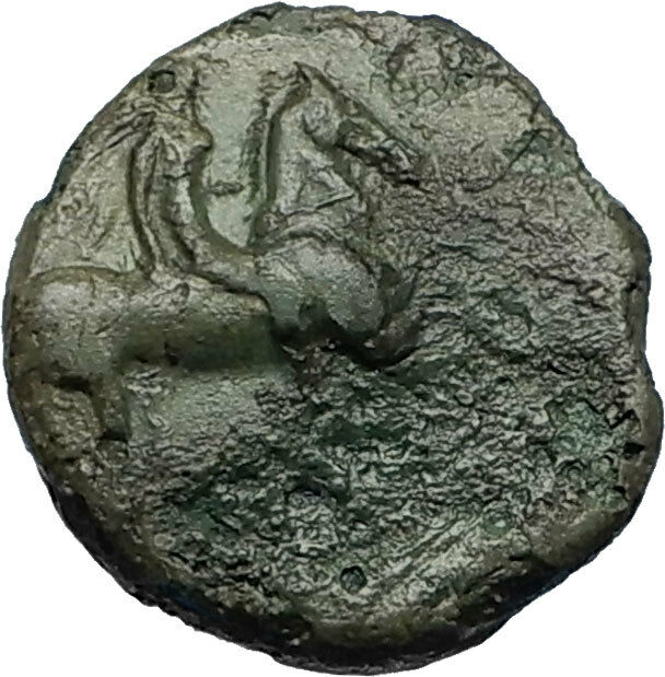 SYRACUSE in SICILY Rare R1 305BC Greek Coin Agathokles ATHENA & HORSE i67171