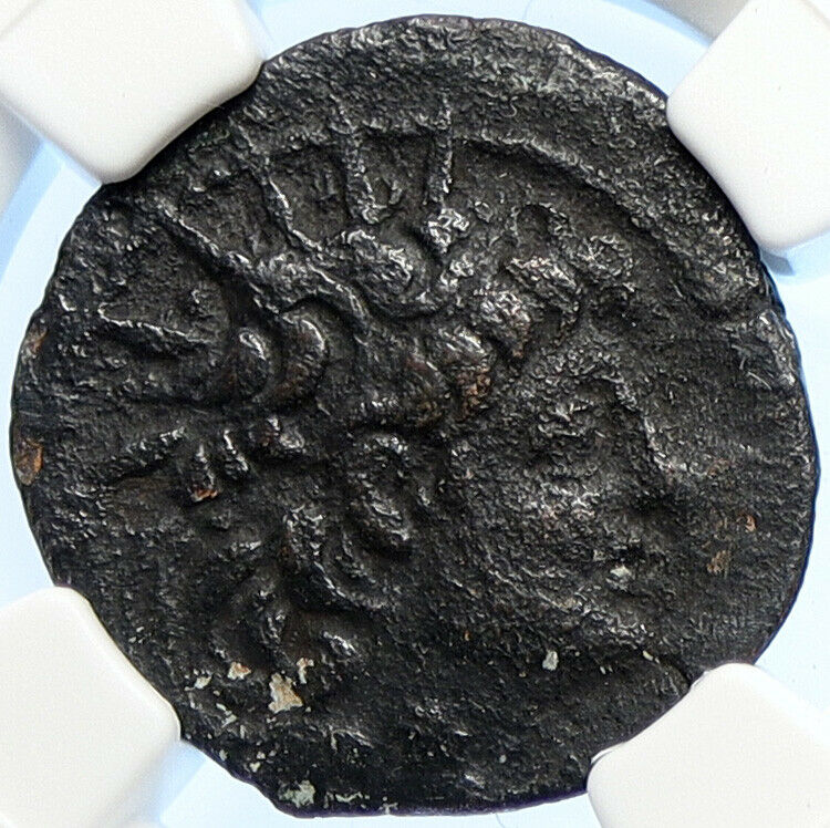 ALEXANDER II ZABINAS Seleukid Ancient Original Greek Coin CORNUCOPIA NGC i106708