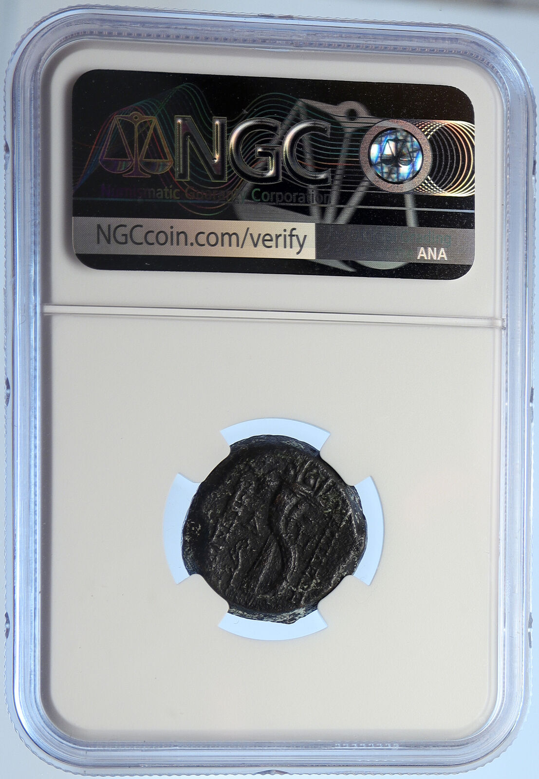 ALEXANDER II ZABINAS Seleukid Ancient Original Greek Coin CORNUCOPIA NGC i106708