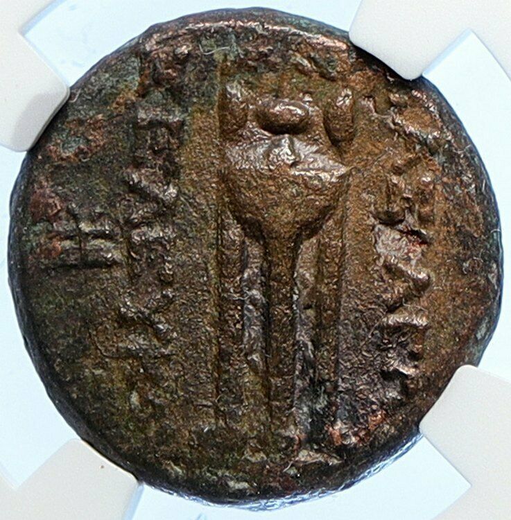 SELEUKOS II KALLINIKOS Rare R1 Apollo Ancient Seleukid Greek Coin NGC i106710