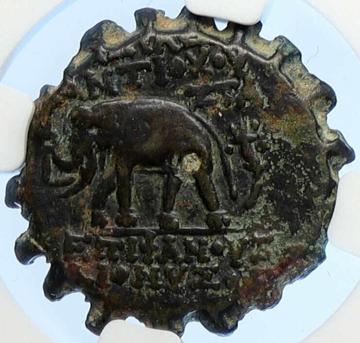 ANTIOCHOS VI Dionysos Ancient Seleukid Ancient Greek Coin ELEPHANT NGC i106704