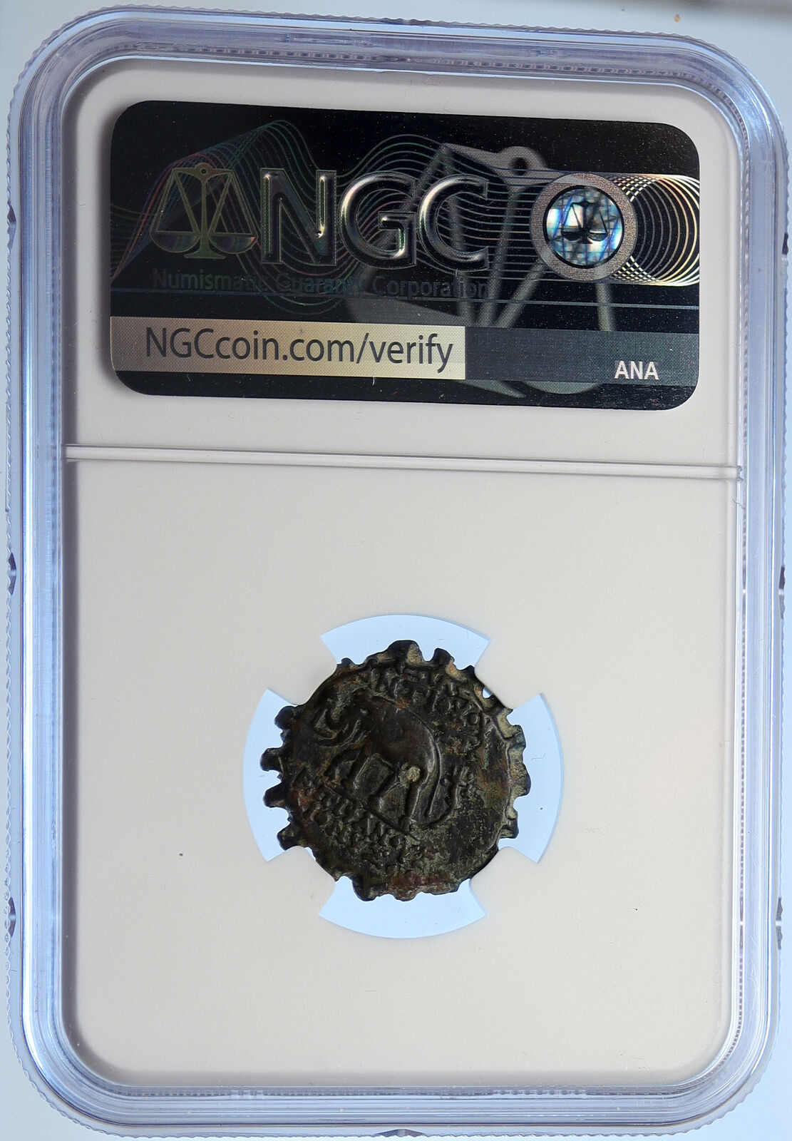 ANTIOCHOS VI Dionysos Ancient Seleukid Ancient Greek Coin ELEPHANT NGC i106704