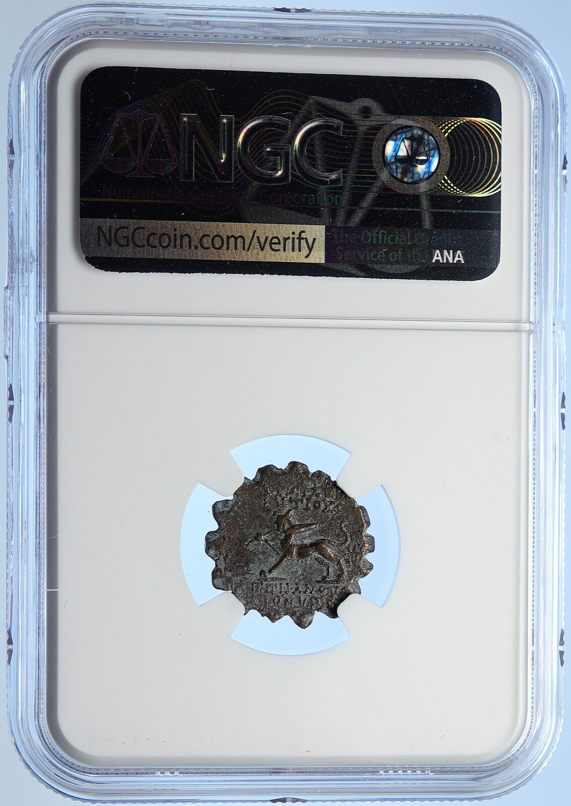 ANTIOCHUS VI Dionysos Seleucid King 145BC Ancient Greek Coin Panther NGC i106713