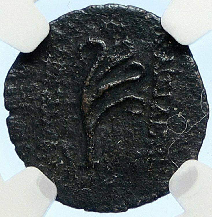 ALEXANDER II ZABINAS Authentic Ancient Seleukid Greek Coin APLUSTRE NGC i106738