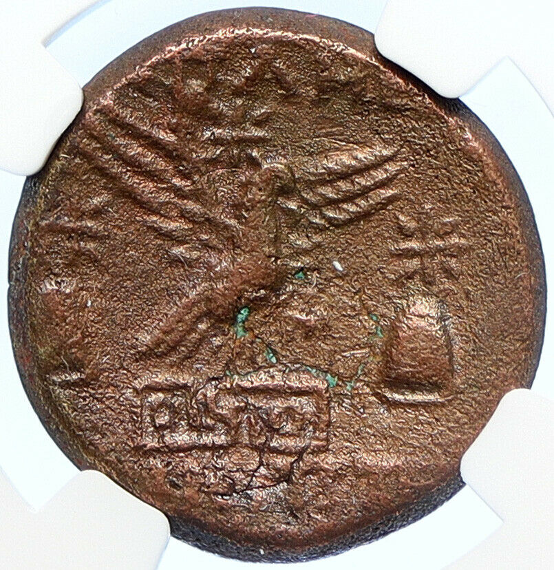 APAMEIA PHRYGIA 88BC Athena Gemini Caps Eagle OLD Ancient Greek Coin NGC i106722