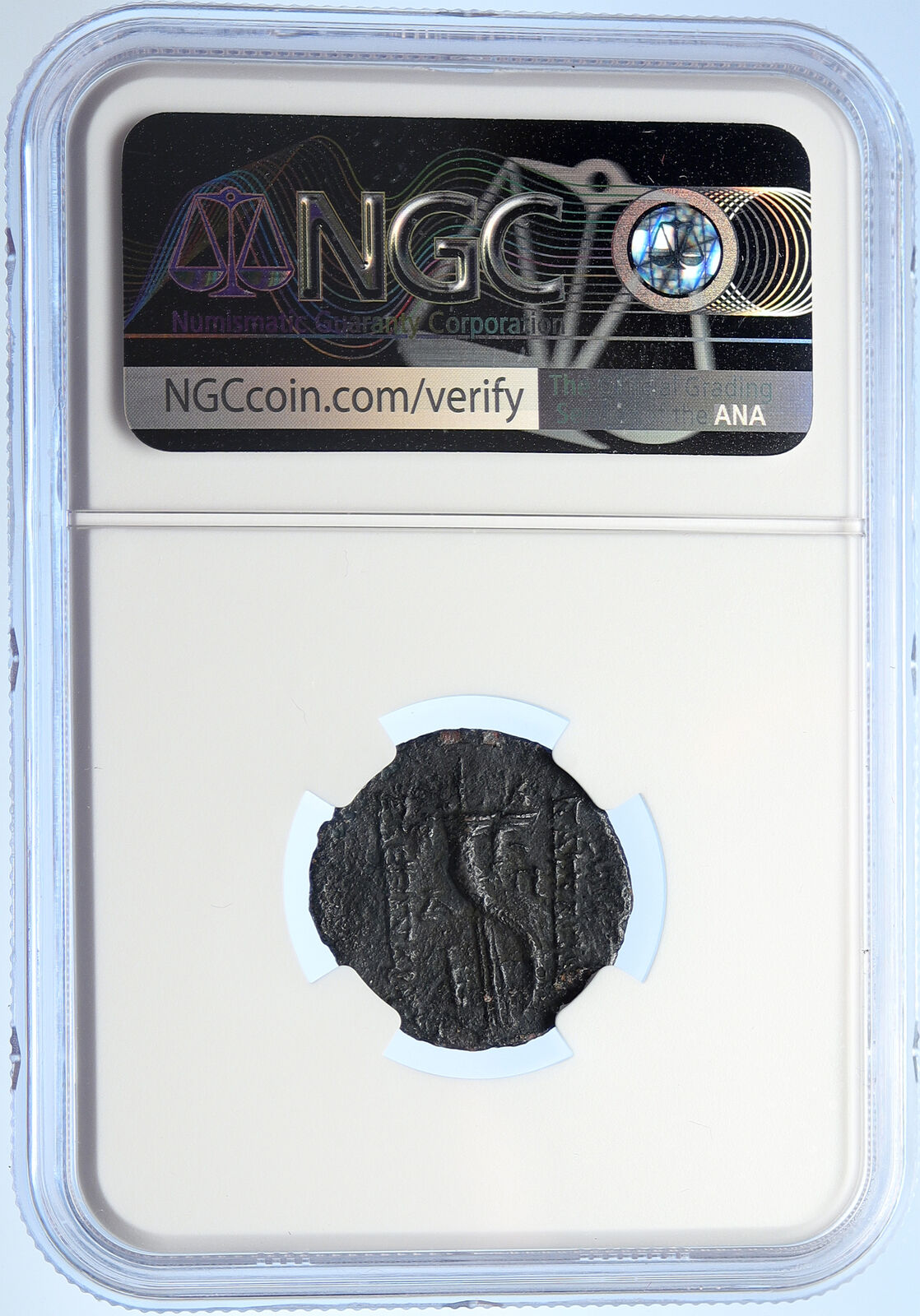 ALEXANDER II ZABINAS Seleukid Genuine Ancient Greek Coin CORNUCOPIA NGC i106723