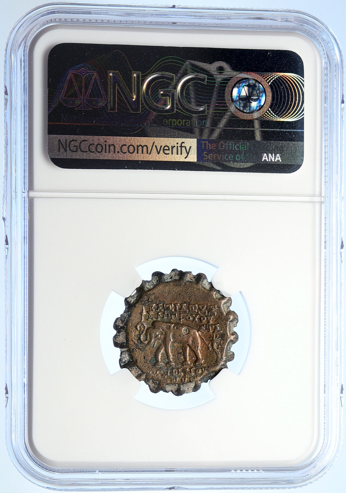 ANTIOCHOS VI Dionysos 144BC Seleukid Ancient Greek Coin ELEPHANT NGC i106725