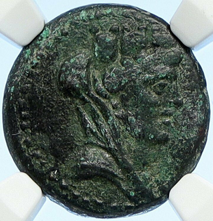 LAODIKEIA in SELEUKIS and PIERIA Ancient OLD Greek Coin Tyche Nike NGC i106719