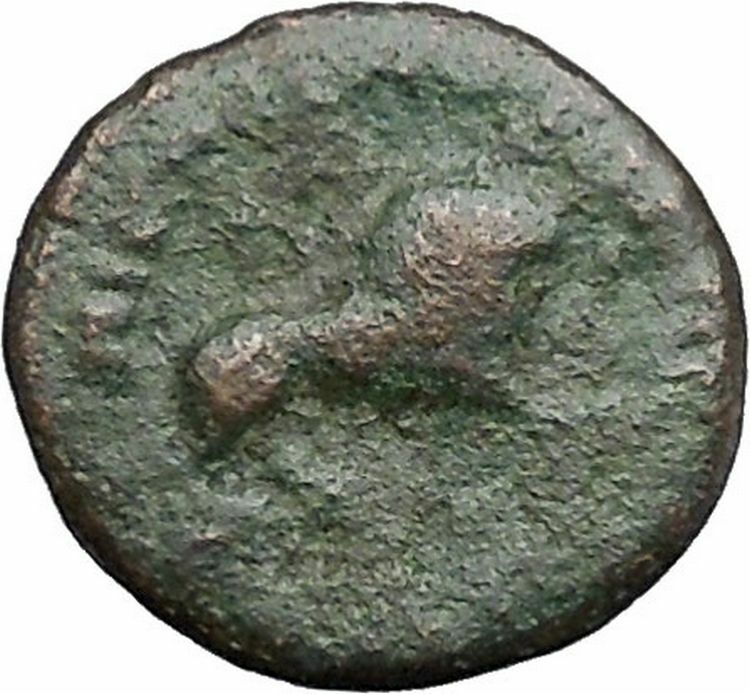 Julia Domna Nicopolis ad Istrum Authentic Ancient Roman Coin Nemean Lion i49753