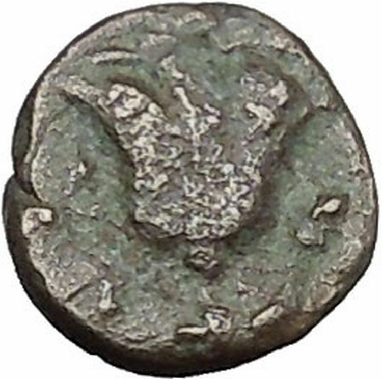 RHODES Island Off CARIA 394BC Nymph Rhodos ROSE Ancient Greek Coin i49609