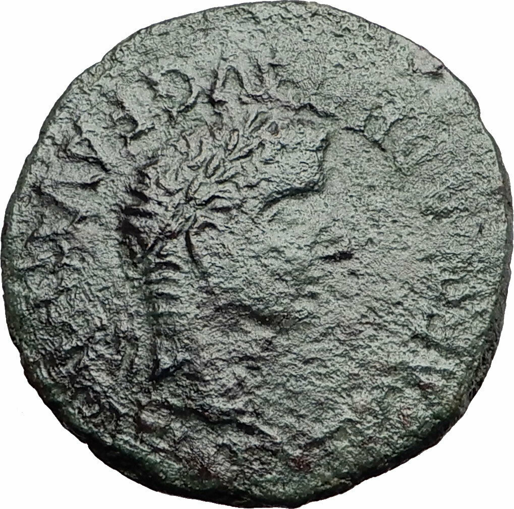 TIBERIUS 14AD Calagurris Spain Ancient Roman Coin BULL of Biblical Times i57884